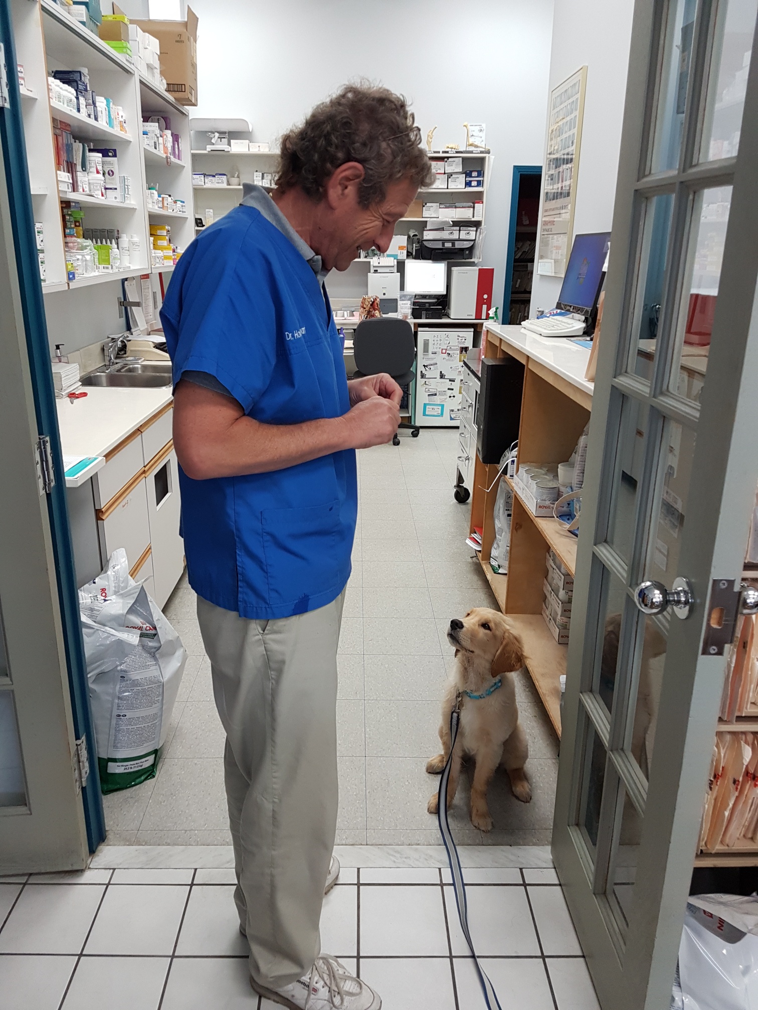 Understanding FAS (Fear, Anxiety, and Stress) in the Vet Clinic